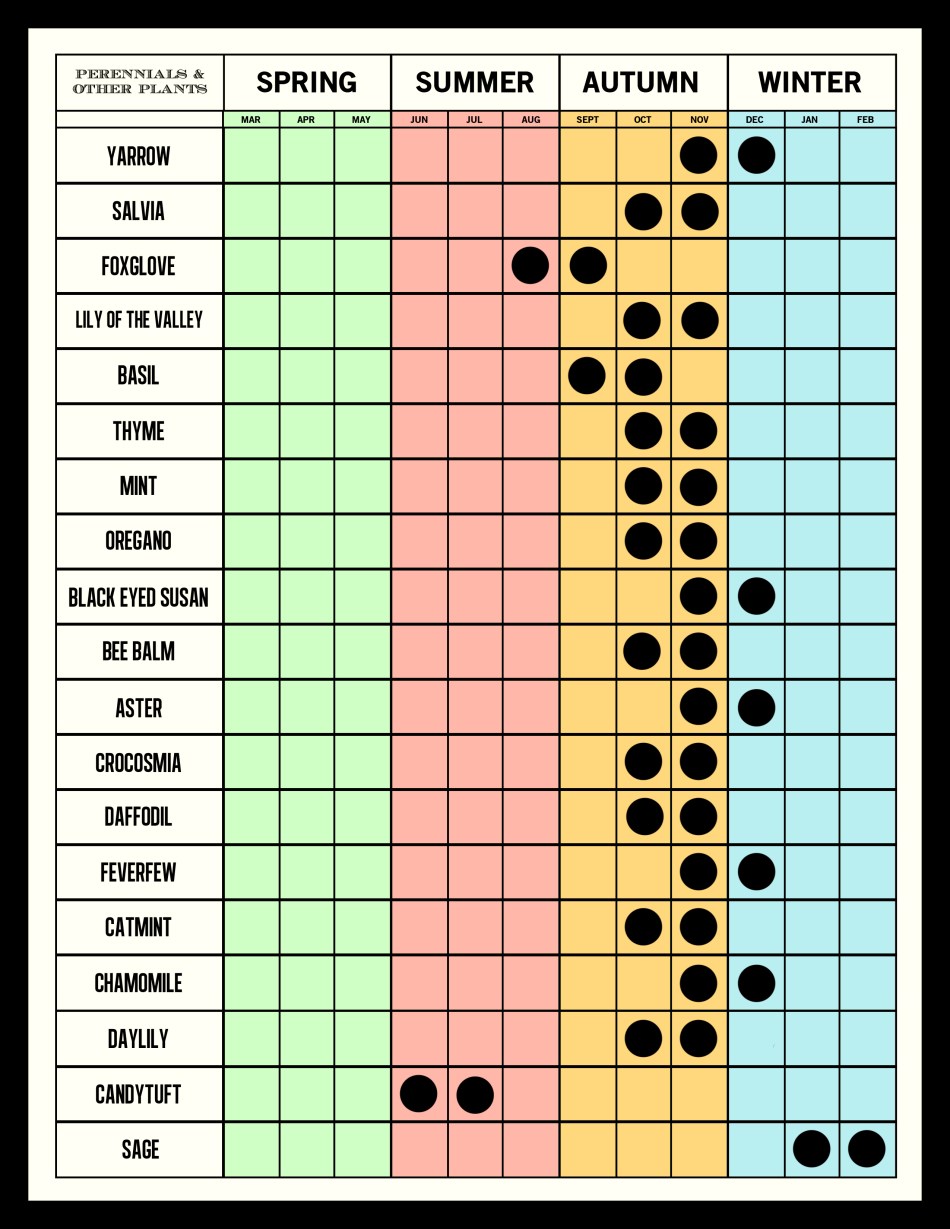 PRUNING GUIDE perennials 2