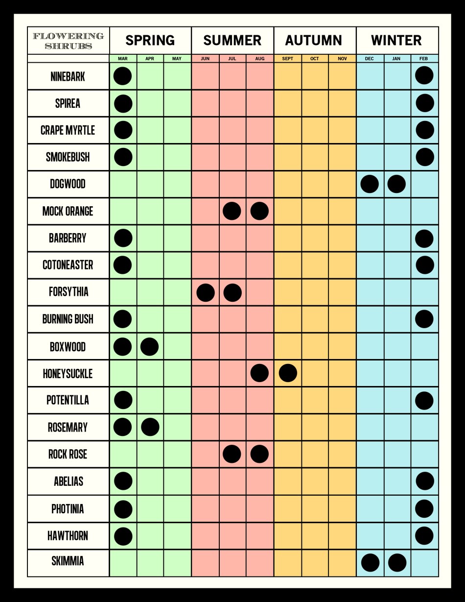 PRUNING GUIDE shrub copy